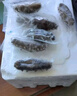 鮮馳山東即食海參凈重1斤21-30只 冷凍遼刺參 海鮮 源頭直發(fā) 曬單實(shí)拍圖