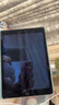 Apple蘋果ipad9/10/Pro2022/21/20款 /air5/mini7/6二手平板電腦 iPad mini4 曬單實(shí)拍圖