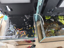魚(yú)呼吸魚(yú)缸增氧充氣泵 夜聽(tīng)-008-6W裸機 家用養魚(yú)小型打制沖器棒 曬單實(shí)拍圖