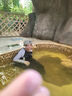 梵迪拉（F.DYRAA）游泳衣女分體防曬長袖長褲潛水泡溫泉女士泳裝五件套14011灰色2XL 曬單實(shí)拍圖