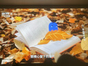 哈趣Q1 投影儀家用 真1080P高清 智能便攜家庭影院 游戲臥室宿舍投影機 國家補貼（330lm 支持4K解碼） 曬單實(shí)拍圖