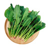 【產(chǎn)地直采】大菠菜300g 曬單實(shí)拍圖