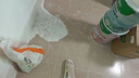 三棵樹(shù)漆內墻底漆凈味抗堿通用乳膠漆墻面隨心底漆油漆涂料白色 15L 曬單實(shí)拍圖