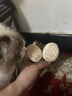 wakytu英國品牌寵物鞋子春夏小型犬比熊雪納瑞泰迪外出防臟透氣四腳鞋 米棕色M碼【內長(cháng)4.5cm 內寬3.3cm 兩只裝 曬單實(shí)拍圖