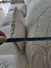 帕沙曼（pashaman）政府補貼布藝沙發(fā)客廳可拆洗雪尼爾奶油云朵沙發(fā)豪華2.8米 2657ZF 曬單實拍圖