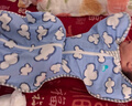 LOVE TO DREAM澳洲品牌新生嬰兒防驚跳睡袋四季通用襁褓式睡袋兒童投降式防踢被 藍(lán)天白云（四季通用） M碼：8-15斤（約3-6個(gè)月） 曬單實(shí)拍圖