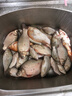 達億瓦（DAIWA） 新款 一擊櫻 綜合休閑手桿臺釣竿輕碳素進(jìn)口釣魚(yú)竿釣桿 垂釣裝備 F-4.5米 曬單實(shí)拍圖