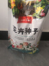 花友秀萬壽菊混色種子花卉種籽易活盆栽花卉庭院室外野花種子花海打造】 曬單實(shí)拍圖