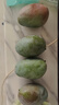 京鮮生 攀枝花凱特芒果 凈重8.5斤 帶箱9斤 單果400g+ 生鮮水果源頭直發(fā) 曬單實(shí)拍圖