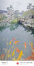 She's茜子發(fā)飾情人鳥(niǎo)刺繡羽翼抓夾后腦勺盤(pán)發(fā)鯊魚(yú)夾生日禮物送女友 曬單實(shí)拍圖