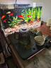 金晶超白魚缸客廳桌面小魚缸玻璃草缸龜缸懶人家用生態(tài)造景水族箱 長(zhǎng)60CM寬30CM高35CM（厚度6MM） 金晶超白魚缸裸缸 曬單實(shí)拍圖