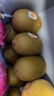 佳沛（zespri）新西蘭  陽光金奇異果巨大果22粒原箱 單果重約144-175g 獼猴桃 曬單實拍圖