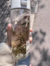 無(wú)印良品（MUJI）共聚酯 便攜水杯高顏值透明水杯運(yùn)動(dòng)水杯 透明 550ml 曬單實(shí)拍圖