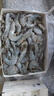 萬景 北海鮮凍白蝦 國產(chǎn)白蝦 單凍無冰凈重4斤 100-120只 燒烤聚餐  曬單實拍圖