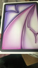 Apple/蘋(píng)果 iPad Air 11英寸 M3芯片2025年款 平板電腦 (128GB WLAN版)紫色 曬單實(shí)拍圖
