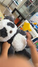 babycare熊貓安撫玩偶睡眠手偶阿貝貝嬰兒寶寶睡覺(jué)毛絨玩具新生兒見(jiàn)面禮盒 曬單實(shí)拍圖