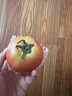 內(nèi)蒙普羅旺斯沙瓤新鮮水果生吃草莓心番茄夏季必備超市減肥 中果-普羅旺斯 4.5斤 【13-16枚】 曬單實(shí)拍圖