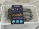魚躍船頭秋刀魚1.2kg 去鰓去內臟 新鮮海捕 船凍鎖鮮日料燒烤海鮮魚類 秋刀魚600g*4 曬單實拍圖