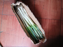 大蔥去皮裁半葉新鮮蔬菜水果大蔥調(diào)料 優(yōu)惠 4斤 現(xiàn)挖現(xiàn)發(fā) 曬單實(shí)拍圖