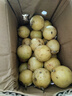 粵迎黃金百香果欽蜜9號【源頭直采】廣西香甜多汁現(xiàn)摘百香果當季水果 凈2.8-3斤精選裝【單果45g+】 曬單實拍圖