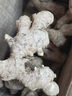 京鮮生云南羅平小黃姜帶泥姜新鮮蔬菜生姜特惠3斤源頭直發(fā) 曬單實拍圖