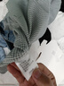 BLACKMONDAY純棉格子襯衫男短袖薄款全棉液氨抗皺免燙男士正裝商務休閑襯衣 曬單實拍圖