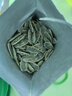 洽洽如鳶聯(lián)名禮盒劉辯傅融袁基左慈孫策密探瓜子禮盒零食禮包禮物 【左慈】海鹽瓜子禮盒 曬單實拍圖
