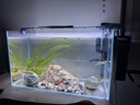 YEE魚缸金晶超白金魚裸缸8060家用客廳桌面小草缸龜缸玻璃生態(tài)溪流缸 【送上樓】60*30*35*6mm裸缸【推薦】 曬單實拍圖