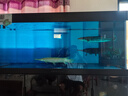 老漁匠落地底濾魚缸超白玻璃大型客廳屏風觀賞龍魚生態(tài)一體免換水可定制 玄武黑-裸缸版【超強底過濾 低音下水】 153x68x160cm 曬單實拍圖