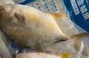 翔泰 海南金鯧魚(yú)凈重900g 2條裝  魚(yú)類(lèi)生鮮 燒烤 火鍋食材 海鮮水產(chǎn) 曬單實(shí)拍圖