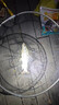 武漢天元鄧剛金版浮釣鰱鳙顆粒野釣手竿花白鰱鳙大胖頭草莓味餌料 天元鄧剛【浮釣鰱鳙】 2包 曬單實拍圖
