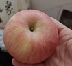 京鮮生山東煙臺紅富士 蘋果 凈重5斤單果200g+ 新鮮水果 源頭直發(fā) 曬單實拍圖