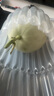 澤華果品山東玉菇甜瓜 現(xiàn)摘冰淇淋口感蜜瓜應(yīng)季新鮮水果整箱 凈重7-7.5斤2-5個(gè)玉菇甜瓜 曬單實(shí)拍圖