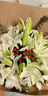 來(lái)一客鮮花速遞玫瑰百合鮮花送女友老婆生日禮物全國(guó)同城配送 19朵白百合 曬單實(shí)拍圖