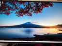 LG 26.5英寸 第四代OLED顯示器 2K280Hz 0.03ms響應(yīng) TrueBlack500 DCI-P3 99.5% 高刷顯示屏27GX700A 曬單實(shí)拍圖