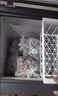 新飛（Frestec）100升全空間減霜迷你家用單溫冰柜小冷柜一級能效立式冷柜母乳小冰箱 BC/BD-100KAT/L 曬單實拍圖