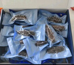 京東京造大連冷凍即食海參1000g 30-50只 固形物不低于70% 遼刺參 曬單實(shí)拍圖