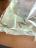 寵小俠純種孔雀魚觀賞魚好養(yǎng)耐活淡水小型魚熱帶魚鳳尾熱帶魚小魚苗 6精品公母品種隨機(jī) 曬單實(shí)拍圖