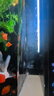 米家（MIJIA）智能生態(tài)魚(yú)缸還原自然生態(tài) 智能魚(yú)缸+濾芯套裝 曬單實(shí)拍圖