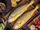 三都港 冷凍三去大黃魚(yú)凈重2斤/2條裝 寧德黃花魚(yú) 生鮮魚(yú)類(lèi) 中秋 曬單實(shí)拍圖