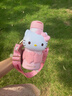 Hello Kitty保溫杯女士高顏值生日禮物316不銹鋼學(xué)生大容量便攜兒童吸管水杯 Kitty保溫杯650ml-禮盒+禮袋 曬單實(shí)拍圖