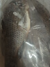環(huán)球水產(chǎn)三去羅非魚2.8斤/共4條 免處理去鱗去鰓去內(nèi)臟 魚類 曬單實(shí)拍圖