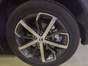 固鉑（Cooper）汽車輪胎 225/55R19 99H EVOLUTION CTT 適配CS75/F7/UNI-T 曬單實(shí)拍圖