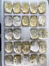 袁記味享x鮮京采 袁記云餃鮮蝦蟹籽三拼云吞拼盤(pán)24顆500g鮮肉早餐餛飩 曬單實(shí)拍圖