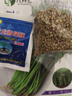 四季香菜種子芫荽庭院陽臺(tái)種菜農(nóng)家盆栽蔬菜種籽小香菜四季可播種 香菜種子1000粒 曬單實(shí)拍圖