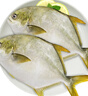 環(huán)球水產(chǎn)冷凍南海金鯧魚(yú)2斤/2條 生鮮魚(yú)類(lèi) 火鍋 深海魚(yú) 海鮮水產(chǎn) 家庭聚餐 曬單實(shí)拍圖