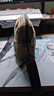 NEW BALANCE NB官方25新款男女款休閑舒適運動斜挎包 SOT LAB52421 均 碼 曬單實拍圖