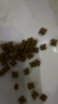 澳龍泌尿處方糧尿閉尿結石貓應激膀胱炎全價(jià)泌尿處方貓糧1.2kg 曬單實(shí)拍圖
