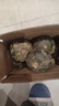 康田匯 陜西真貝貝南瓜 栗香小南瓜 粉糯香甜老瓜應季蔬菜整箱 3.5斤 精選裝【粉糯香甜】?jì)?斤 新鮮 曬單實(shí)拍圖