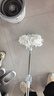 潔仕寶單桶雙驅動(dòng)旋轉拖把4頭新款家用一拖凈自動(dòng)脫水清洗甩干拖地墩布 曬單實(shí)拍圖